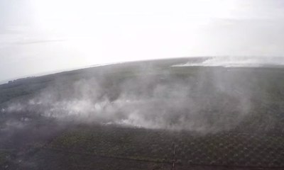 Pakai Pesawat Pribadi, Gubernur Aceh Tinjau Kebakaran Hutan