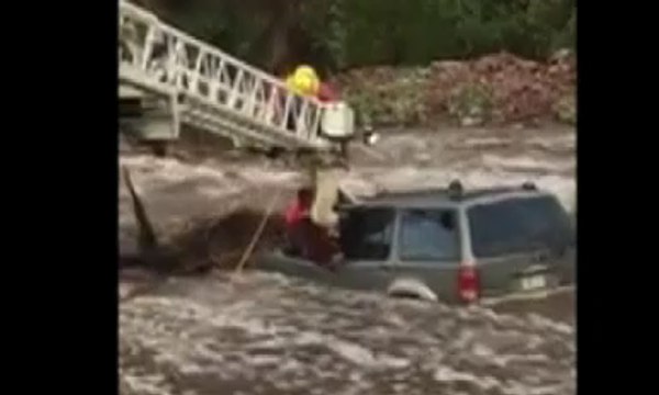 Kisah Dramatis Penyelamatan Pria dan Anjing saat Banjir