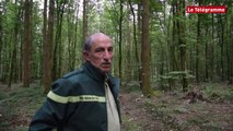 Quimperlé. La forêt domaniale, un jardin hors du commun