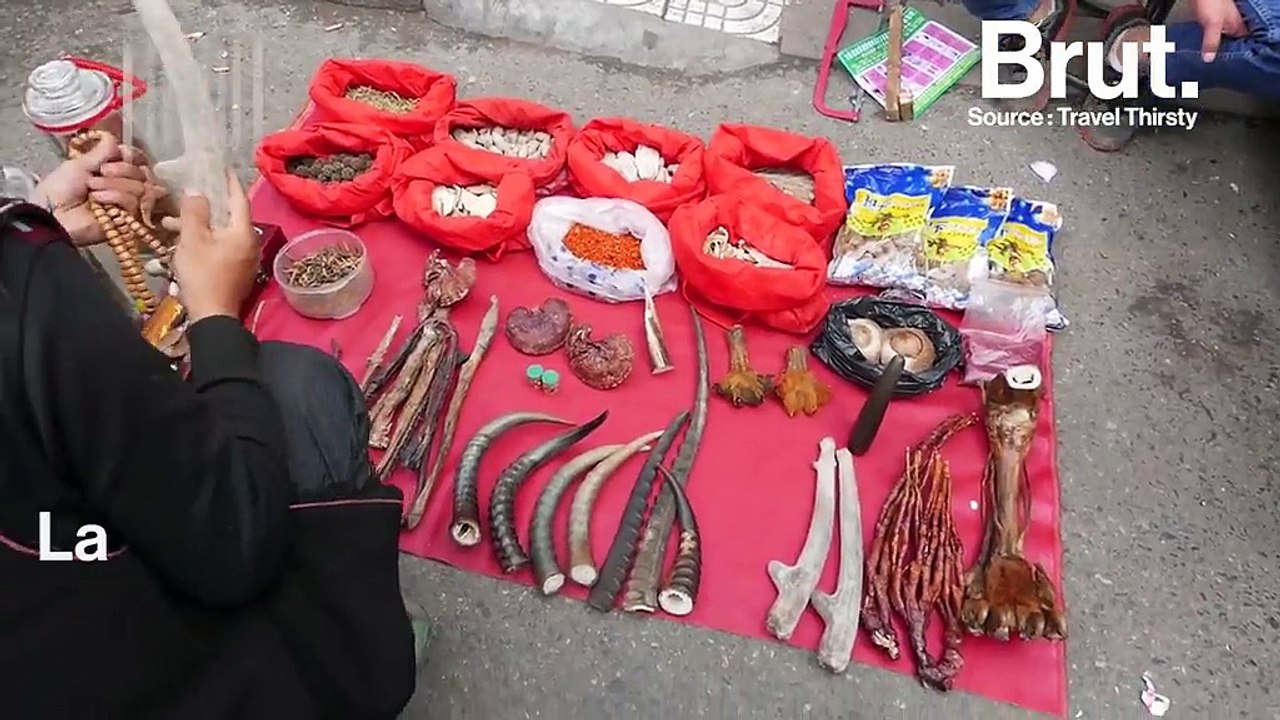 Inde : des tigres sont tués pour leur « vertus médicinales »