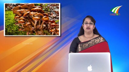 ചന്ദ്രനിലേക്ക് നമുക്ക് ഇഷ്ടമുള്ള വസ്തുക്കൾ അയക്കാൻ Global Malayalam News 33 by Ivision Ireland