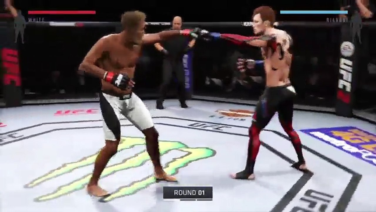P'tit UFC2 (293)