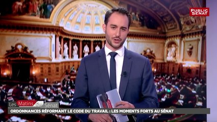 Ordonnances réformant le code du travail : les moments forts au Sénat - Les matins du Sénat (01/08/2017)