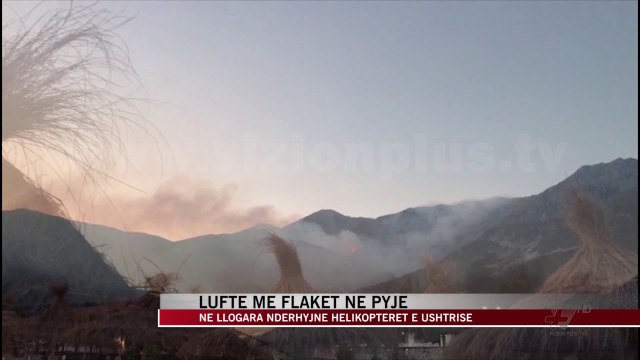 Luftë me flakët, digjen pyje dhe kullota - News, Lajme - Vizion Plus