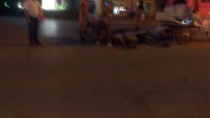 Antalya'da Insanlık Dışı Görüntü... Fayton Çekerken Ölen At Cadde Ortasında Terk Edildi