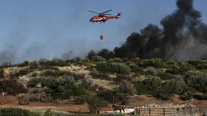 Греция: пожары подошли к Афинам