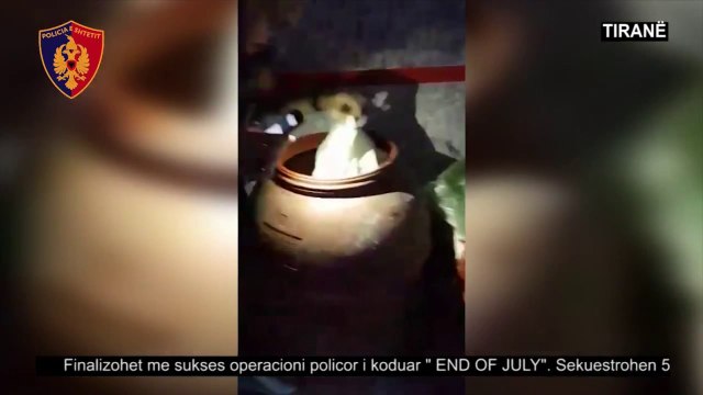 KAPET DROGE NE TIRANE DHE VELIPOJE, POLICIA E SHTETIT ARRESTON PESE PERSONA NE DY OPERACIONE LAJM