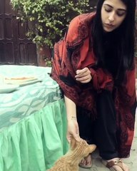 Pakistani Actress Sonia Mishal Playing with cat on the set