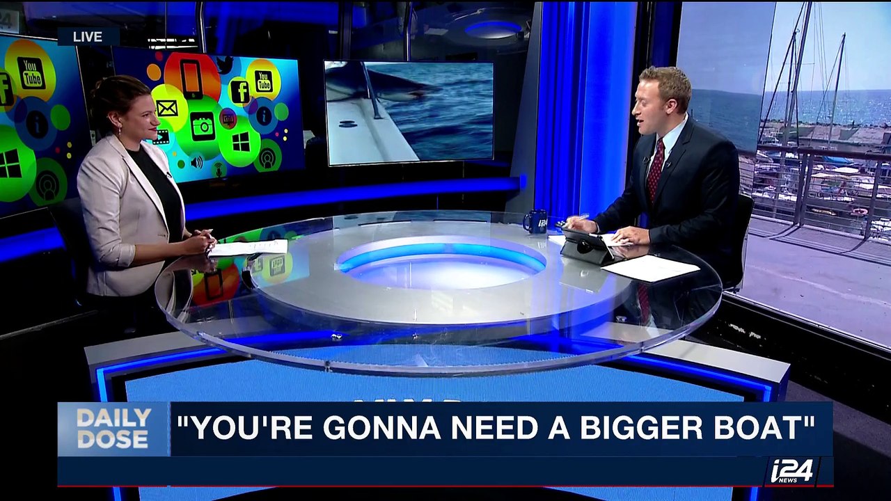 DAILY DOSE | "You're gonna need a bigger boat" | Tuesday, August 1st 2017