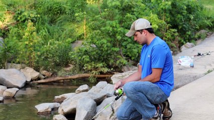 Fishing is the activity of trying to catch fish