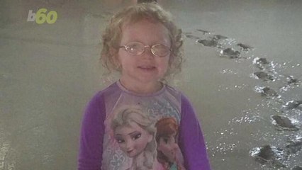 Toddler Walks Through Wet Concrete to Find Parents in Funny Renovation Fail