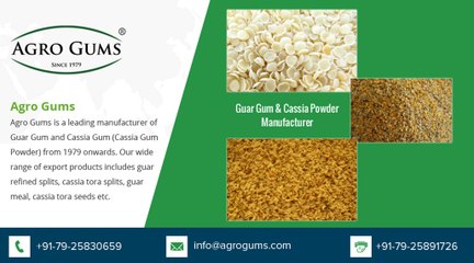 Cassia Gum Manufacturer & Exporter – www.agrogums.com