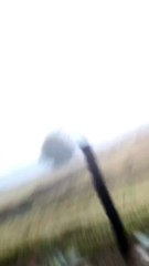 Agosto começa com (muita) neblina e 3ºC em Pedra Azul