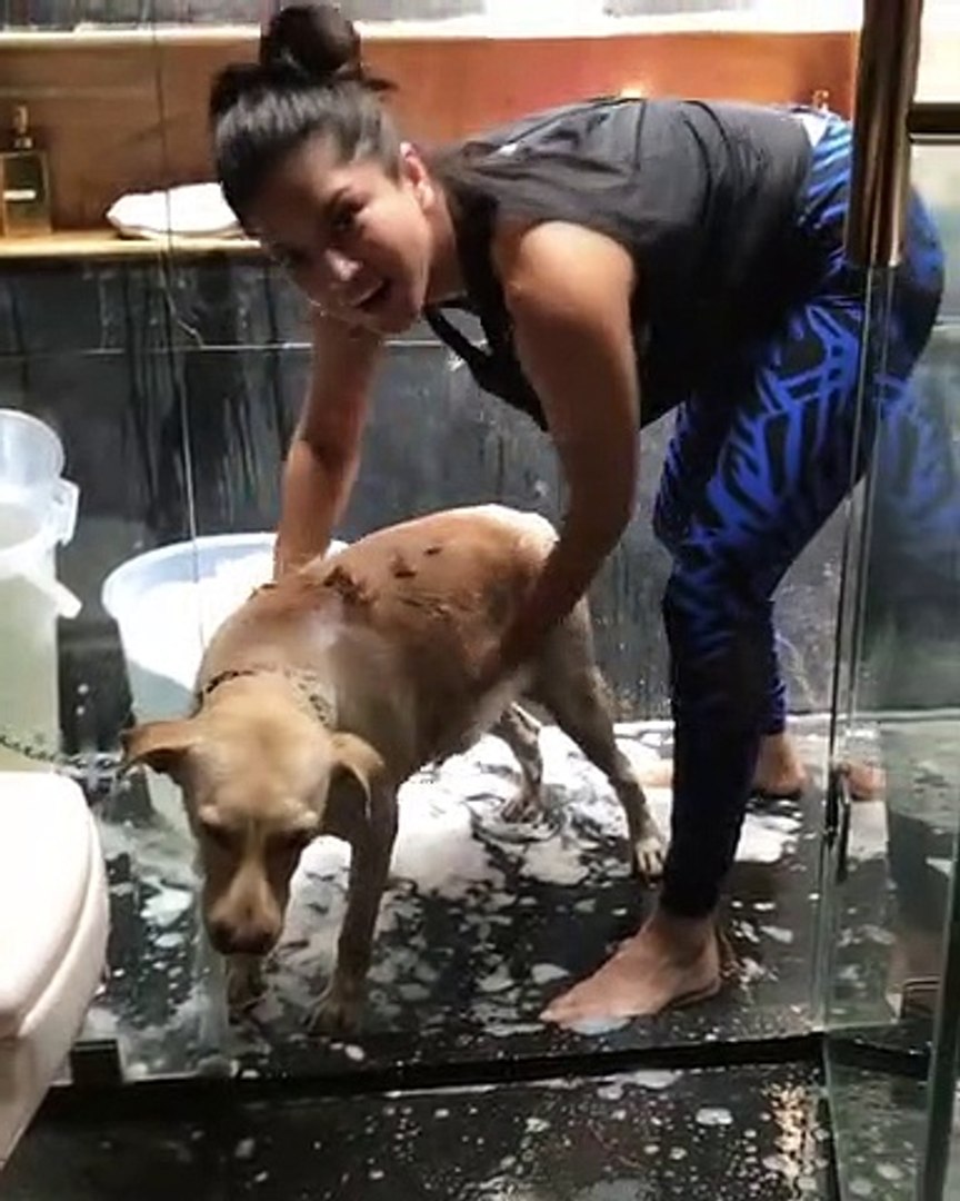 Sunny Leone Dog Xnxx - Sunny Leone Make Her Dog Bath In Her Bathroom - video dailymotion