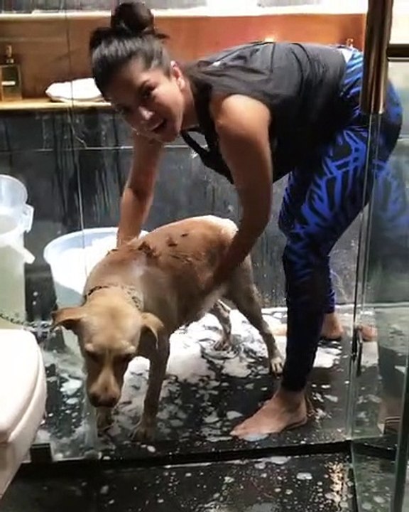 Sunny Leone And Dog Sexy Videos - Sunny Leone Make Her Dog Bath In Her Bathroom - video Dailymotion