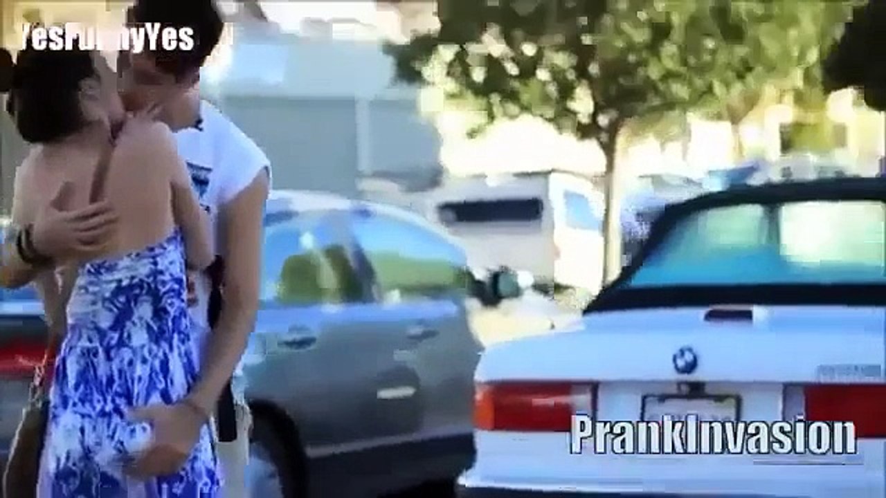 xyyy Video 2015 Nik English Funny Animals Compilation Funny Videos 2015 Mp4