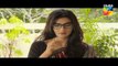 Mohabbat Khawab Safar Episode 27 HUM TV Drama -  31 July 2017