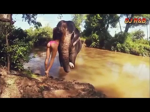 DJ 3 DJ Best EDM Music Mix New Electro House Remix Track 3