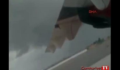 Arı saldırısı uçağa rötar yaptırdı