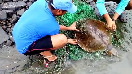 Locals rescue sea turtle caught in net