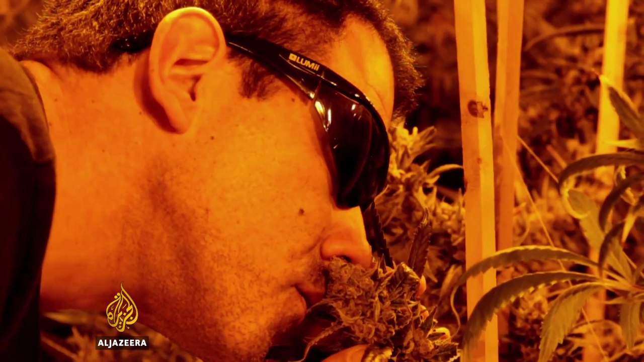 Drugs: Cannabis country, heroin fix and India's addicts - AJ Selects