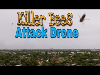Angry Bees Attack Drone in Flight