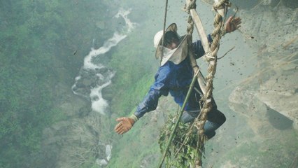 The Nepalese Honey That Makes People Hallucinate