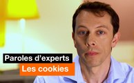 Paroles d'experts - Les cookies - Orange