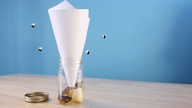 3 Homemade Fruit Fly Traps That Actually Work