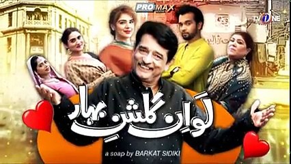 Love In Gulshan e Bihar Episode 18