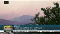 Grecia: bomberos intentan controlar gran incendio al sur de Atenas