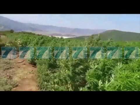 NENKRYETARI I LSI LUAN RAMA APEL KRYEMINISTRIT RAMA - News, Lajme - Kanali 13