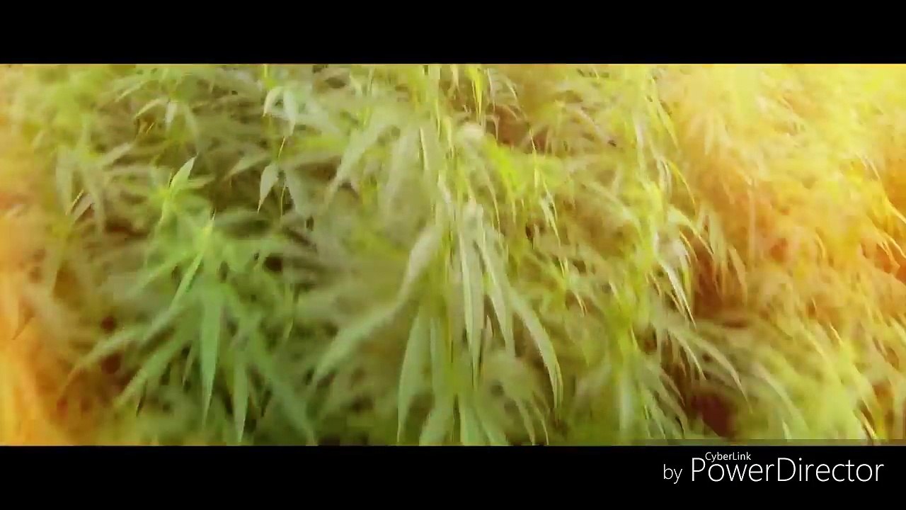 Neuer Track von spongebozz  ?