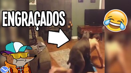 OS VIDEOS MAIS ENGRAÇADOS DA INTERNET #5