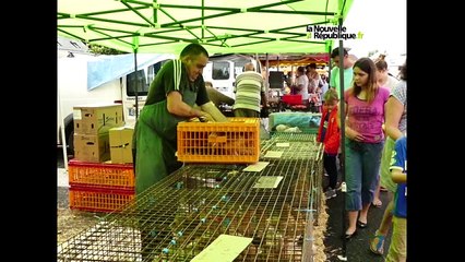 VIDEO (36). Le marché aux volailles de Saint-Août a la cote