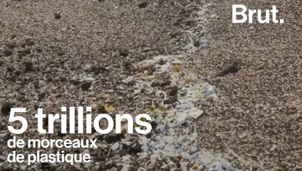 Le microplastique, le plus grand poison des océans