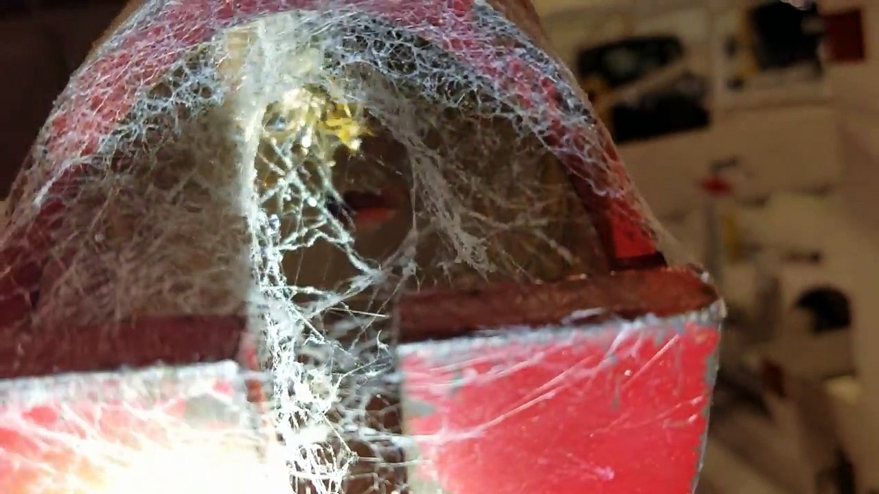 Ces ouvriers nourrissent une araignée sur un chantier !