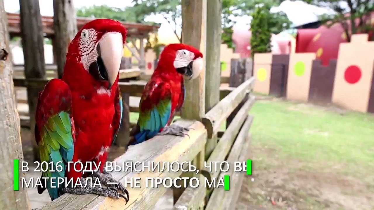 В Японии построили отель, в котором теперь не страшно пережить землетрясение