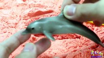 Apprendre Mer animaux des noms enfants enfants tout petit vidéo jouet amusement requin attaque mordre navire