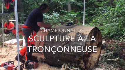 Championnat de sculptures à la tronçonneuse