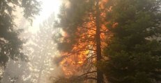 Firefighters Battle Minerva Fire in Northern California
