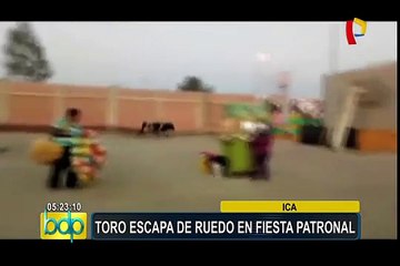Ica: toro escapa de ruedo y causa pánico en fiesta patronal