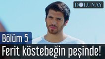 Dolunay 5. Bölüm Ferit Köstebeğin Peşinde