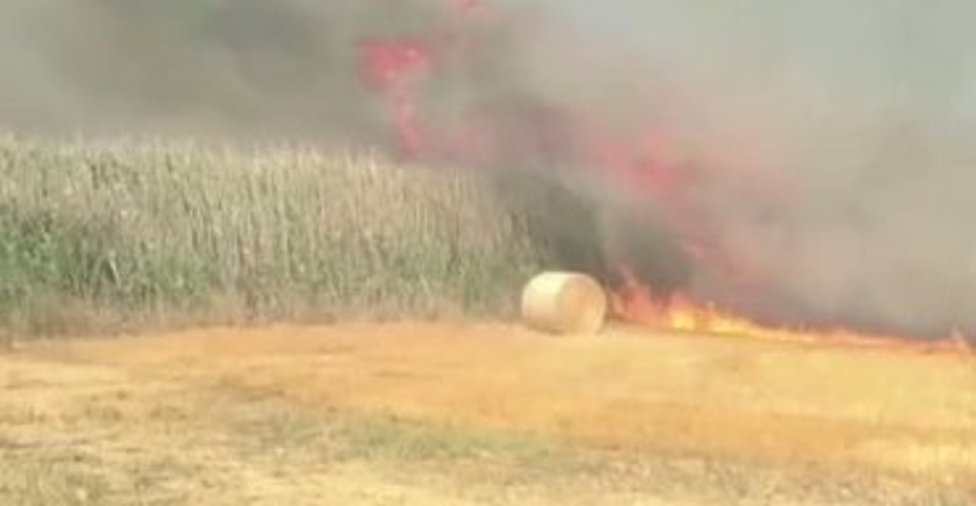 Firefighters Battle Brush Fire in Rome