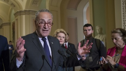 Schumer calls for bipartisan tax reform