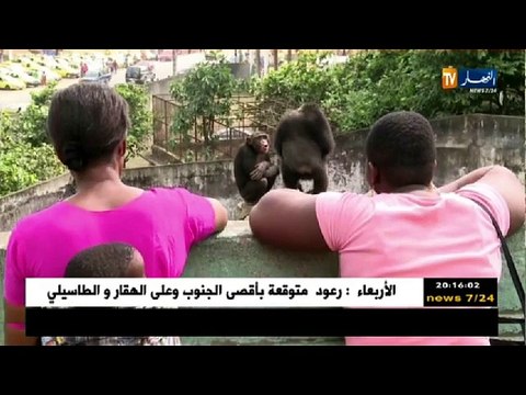 ريبورتاج: المحميات الطبيعية.. حياة برية تتخبط بين الإستمرارية والزوال