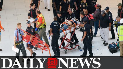 Man plunges 50 feet from balcony at WTC Oculus transit hub