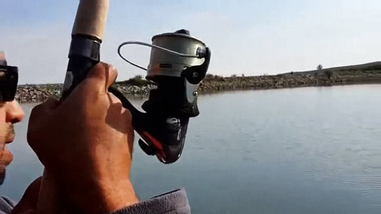 Muhteşem Aynalı Sazan Avı - Balığı Çekerken Zorlandı