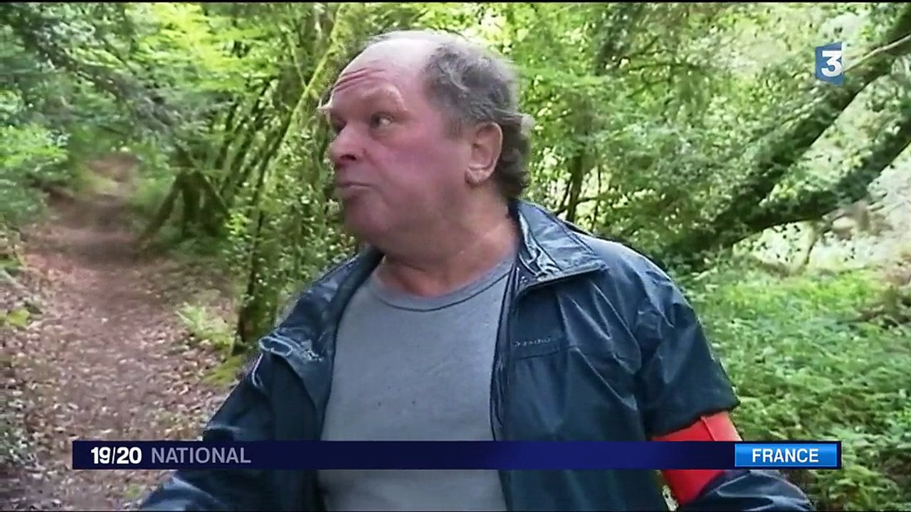 Environnement : une réserve de vie sauvage créée en Bretagne