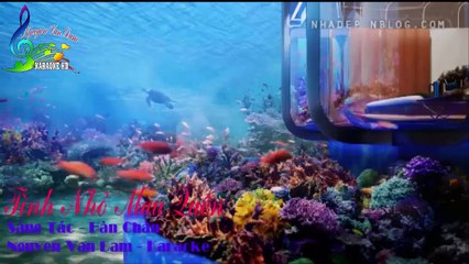 Tình Nhỏ Mau Quên - Karaoke, HD